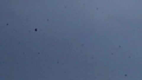 Hallaron 400 millones de fragmentos de plástico que pesan unas 238 toneladas.