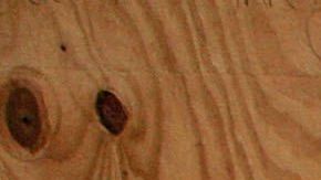 Más de dos terceras partes de los niños pobres pertenecen a las minorías.