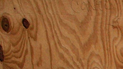 Más de dos terceras partes de los niños pobres pertenecen a las minorías.