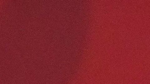 La secretaria causó un retraso de 38 minutos en un vuelo comercial.