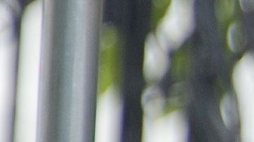 Las hijas de los Obama ya no son unas niñas.