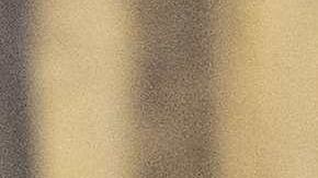 Trump dijo que le habían robado dos años de su presidencia