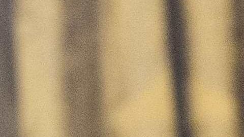 Trump dijo que le habían robado dos años de su presidencia