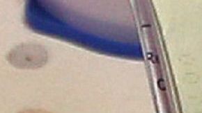 Trump está haciendo frente al 'overstay' de las visas.