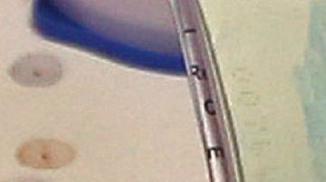 Trump está haciendo frente al 'overstay' de las visas.