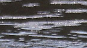 9 migrantes centroamericanos trataban de cruzar el Río Bravo en balsa.