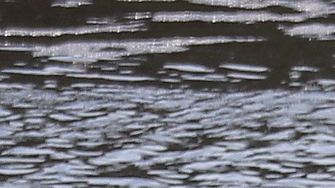 9 migrantes centroamericanos trataban de cruzar el Río Bravo en balsa.