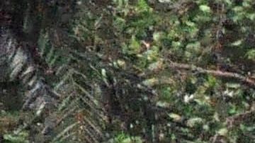 Un barrio inundado de Miami, Florida a raíz del huracán Irma en 2017.