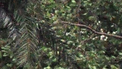 Un barrio inundado de Miami, Florida a raíz del huracán Irma en 2017.