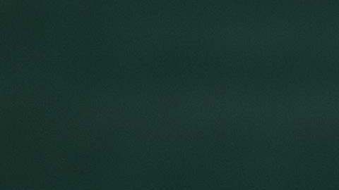 González y Reyes Varela en la Copa Davis.