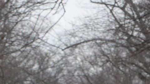 Hay inundaciones en Indiana, Illinois, Michigan, Wisconsin y otros estados del medio oeste.