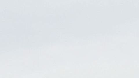 Trump quiere que el muro se construya en el menor tiempo posible.