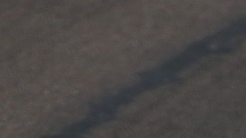 Juncos Raving califico a las 500 millas de Indianápolis.