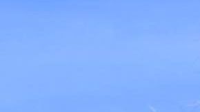 Chewbacca de la saga de Star Wars.