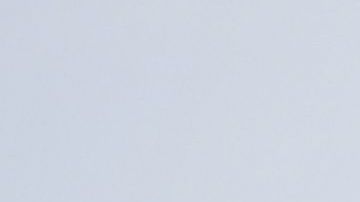 Al presidente tampoco le encanta viajar al extranjero.