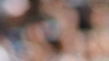 El delantero mexicano Carlos Vela.