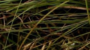 Si has sentido ese sentimiento de envidia contra otra, es mejor reconocerlo.