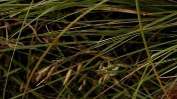 Si has sentido ese sentimiento de envidia contra otra, es mejor reconocerlo.