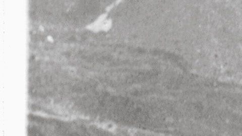 El Aston Marin DB5 original que apareció en la película de James Bond "Goldfinder" (1965). Foto: Aston Martin