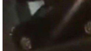 Granizo fue recuperado en Staten Island.