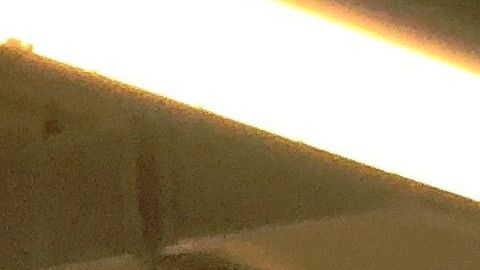 Son 50,000 las visas que se otorgan con el programa de diversidad.