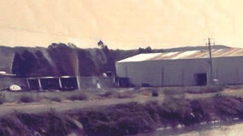 Guerra de "El Mencho" y "El Marro" ahora cobra la vida de niña de 6 años ¡la acribillaron!