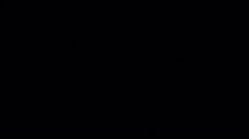 Guillermo del Toro, cineasta mexicano.