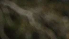 El tiroteo en Florida reabrió el debate sobre el control de armas