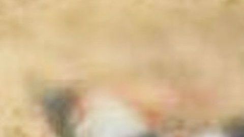 Hallan 5 cuerpos torturados en Michoacán