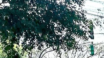 Huachicol en panteón o cementerio de la Ciudad de México