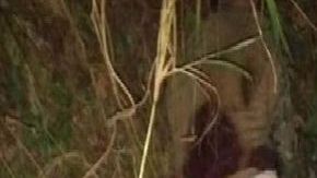 Huachicoleros rafaguearon a soldados mexicanos en Puebla