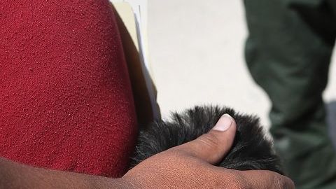 ICE busca transportar a niños y familias a diversos centros de retención.