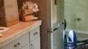 El caimán entró por la parte baja de una de las ventanas de la cocina.