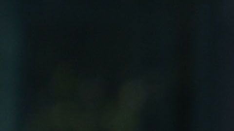 Jesús Manuel "Tecatito" Corona y Carlos Vela no fueron convocados por Gerardo Martino