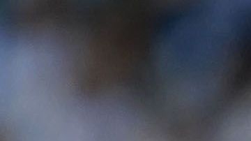 Lionel Messi disputará la Copa América con la selección de Argentina