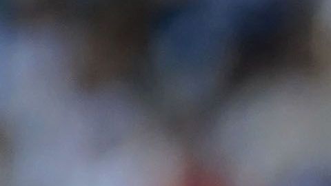 Lionel Messi disputará la Copa América con la selección de Argentina