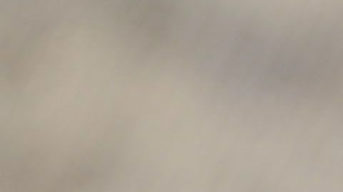 Gerardo Martino no podrá contar con dos elementos clave en la Copa Oro