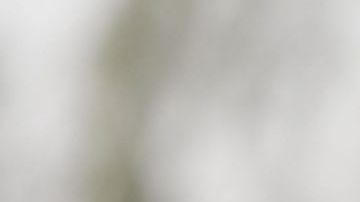 Hirving Lozano es un mar de talento dentro y fuera de la cancha