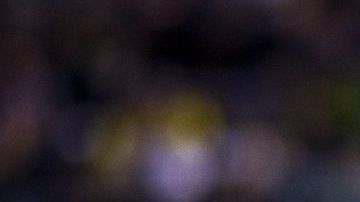 'Chucky' Lozano se baja de la convocatoria de la selección mexicana rumbo a la Copa Oro.