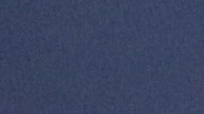 Fidel Kuri, presidente del Veracruz, pagó por la permanencia del equipo en el máximo circuito