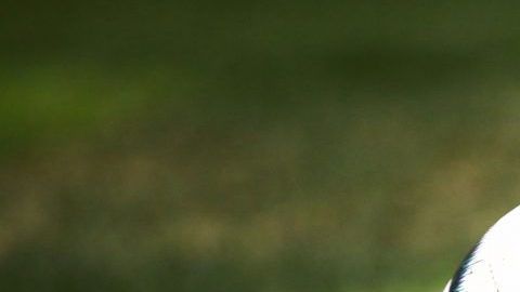 Las semifinales del Clausura 2019 de la Liga Bancomer MX ya están listas.