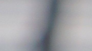 Miguel Herrera prepara a sus águilas para hacerle frente a León en las semifinales