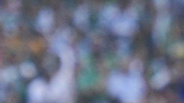 Joel Campbell de los Esmeraldas del León reclama un claro penalti al árbitro.