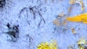 Se espera que el negocio de entretenimiento cinematográfico genere 35.3 mil millones de dólares estadounidenses en ingresos para el 2019. Imagen de archivo.