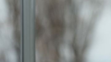 El psicólogo enfatiza que nadie está obligado a perdonar.