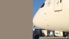 El deceso se registró en pleno vuelo.