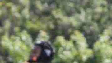 Joshua Ancrum tenía 17 años