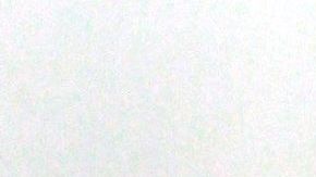 Laura Zapata, media hermana de Thalía