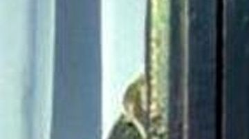 Gaby Spanic interpretó a "La Usurpadora"