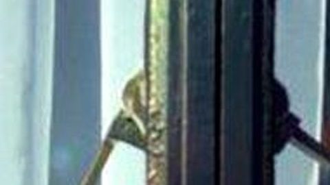 Gaby Spanic interpretó a "La Usurpadora"